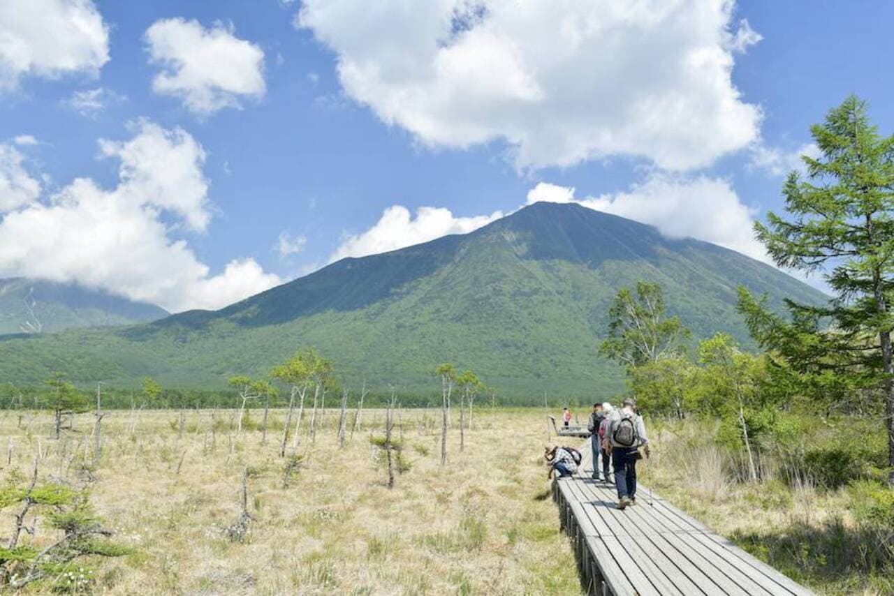Nikko Pass All Area - სურათი 6