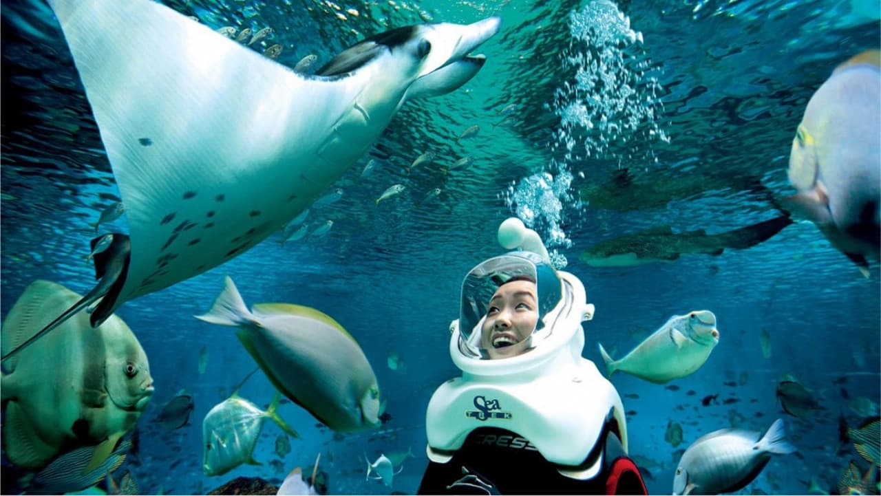 Ultimate Marine Life Experience at Adventure Cove Waterpark - სურათი 2