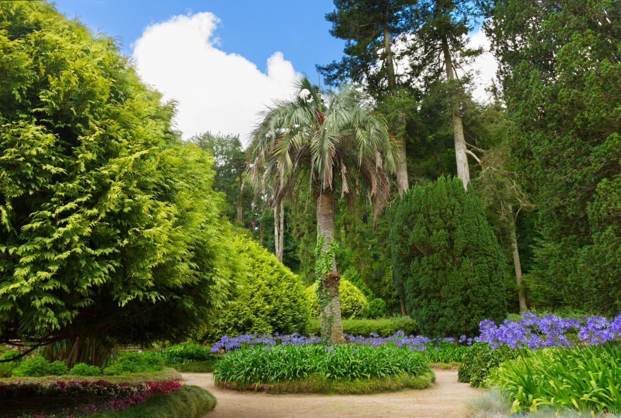 Pena Park in Sintra Ticket - სურათი 6