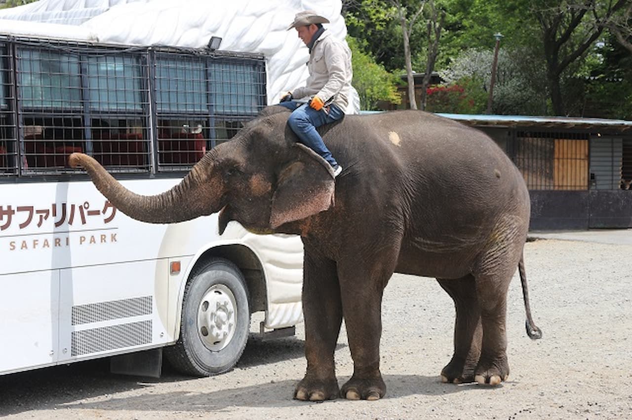 Nasu Safari Park Ticket - სურათი 2