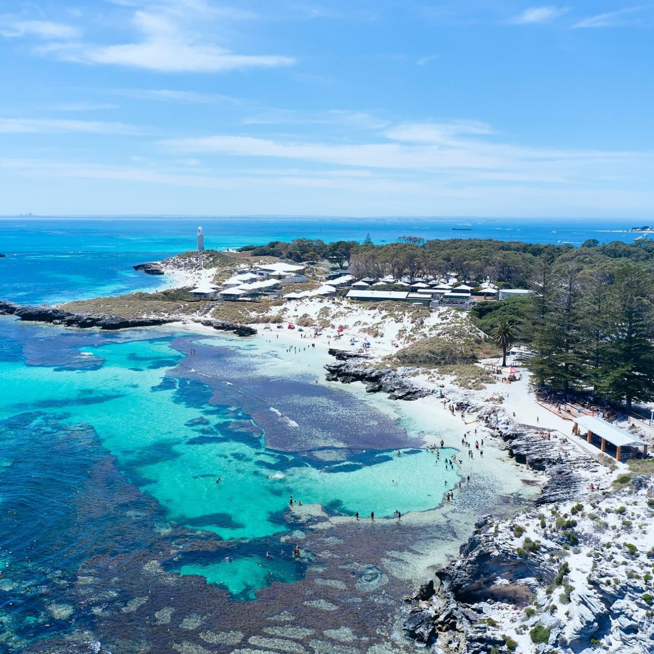 Rottnest Island Bayseeker Bus Tour with Round Trip SeaLink Ferry Transfer - სურათი 4