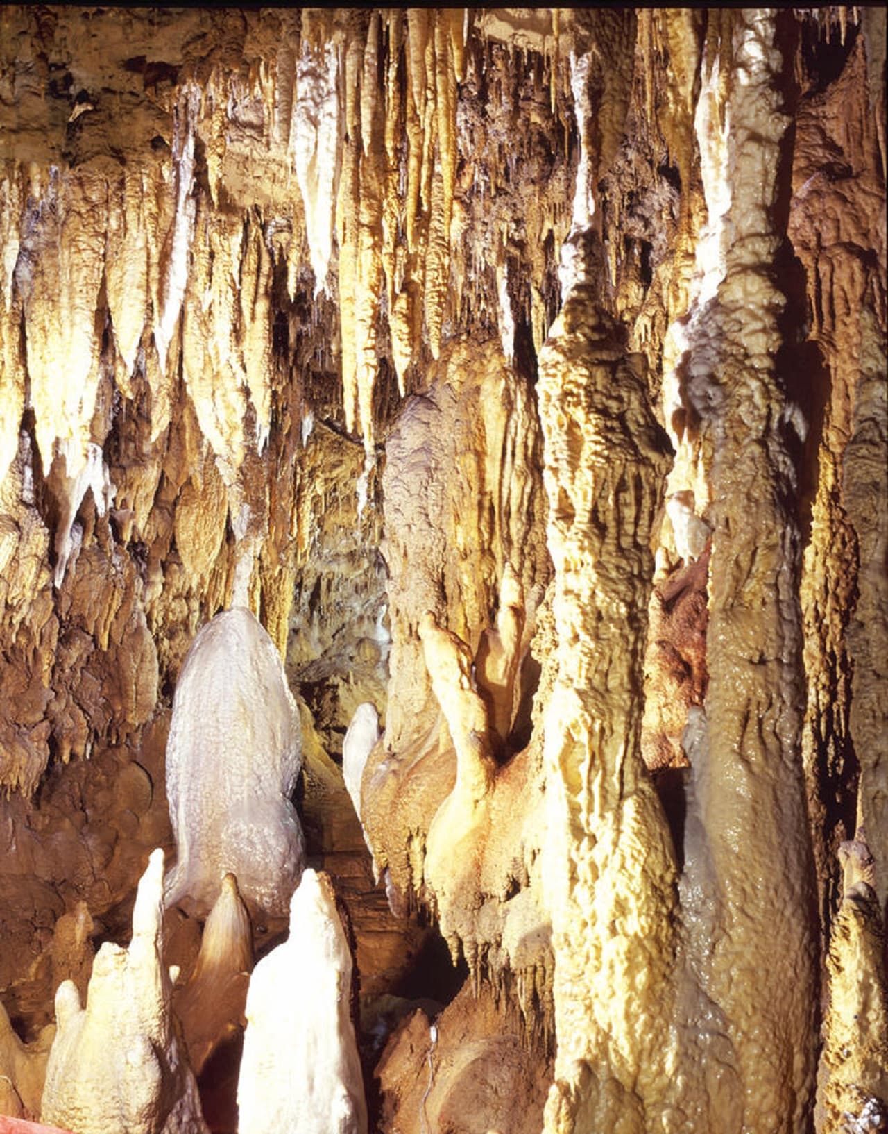 Okinawa World Pass - სურათი 6
