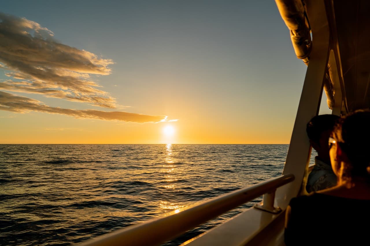 Dinner Cruise from Kona Coast to Kealakekua Bay - სურათი 5