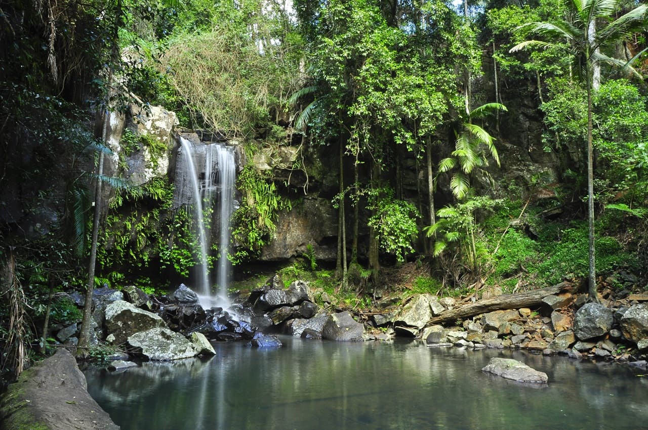 Tamborine Mountain Guided Walk and Wine Tasting Tour - სურათი 11