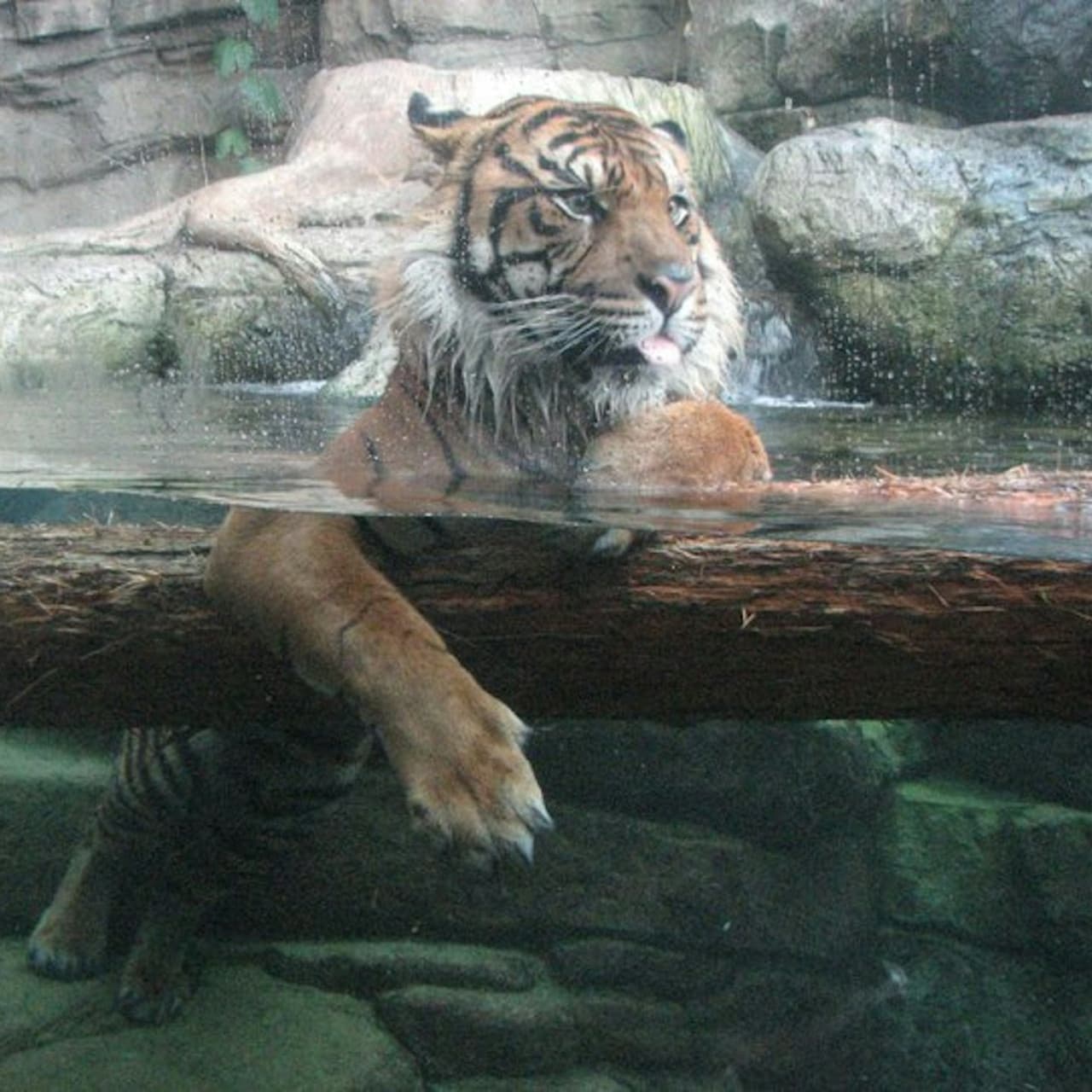 Downtown Aquarium Denver Ticket - სურათი 13