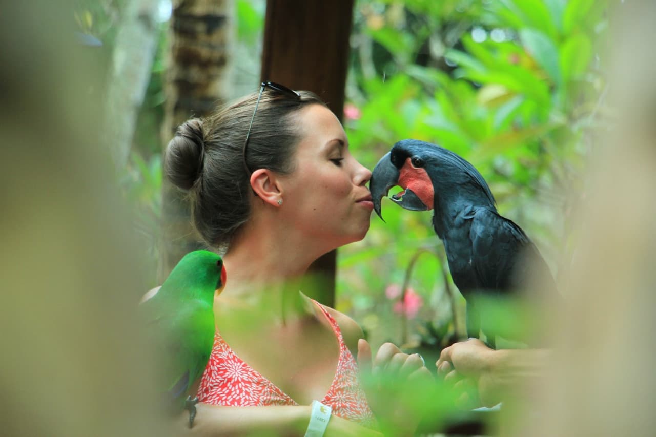 Lombok Wildlife Park: Intimate Wildlife Experience - მთავარი სურათი