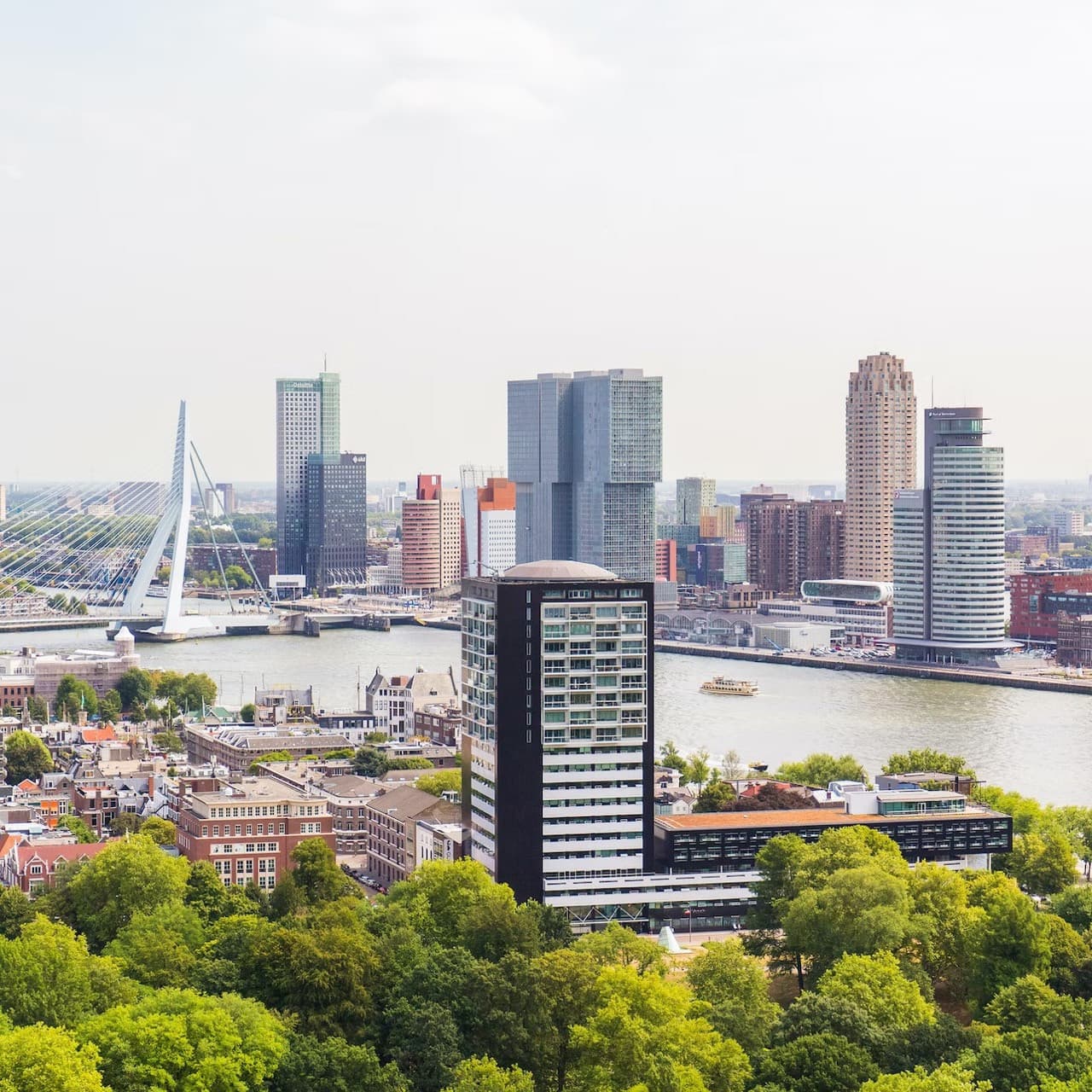 The Hague, Delft, and Rotterdam Full-Day Tour from Amsterdam - სურათი 6
