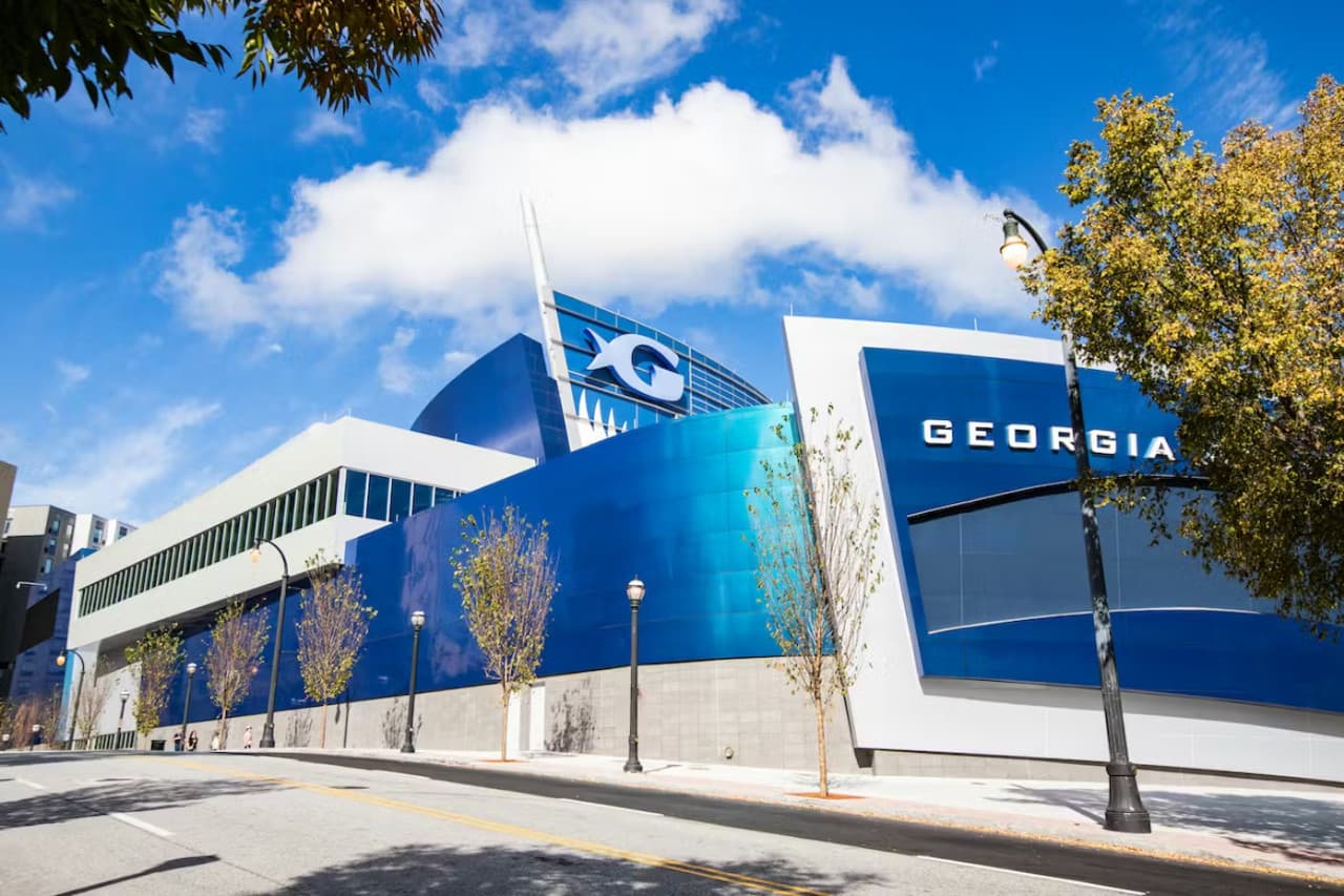Georgia Aquarium: Fast Track Ticket - მთავარი სურათი