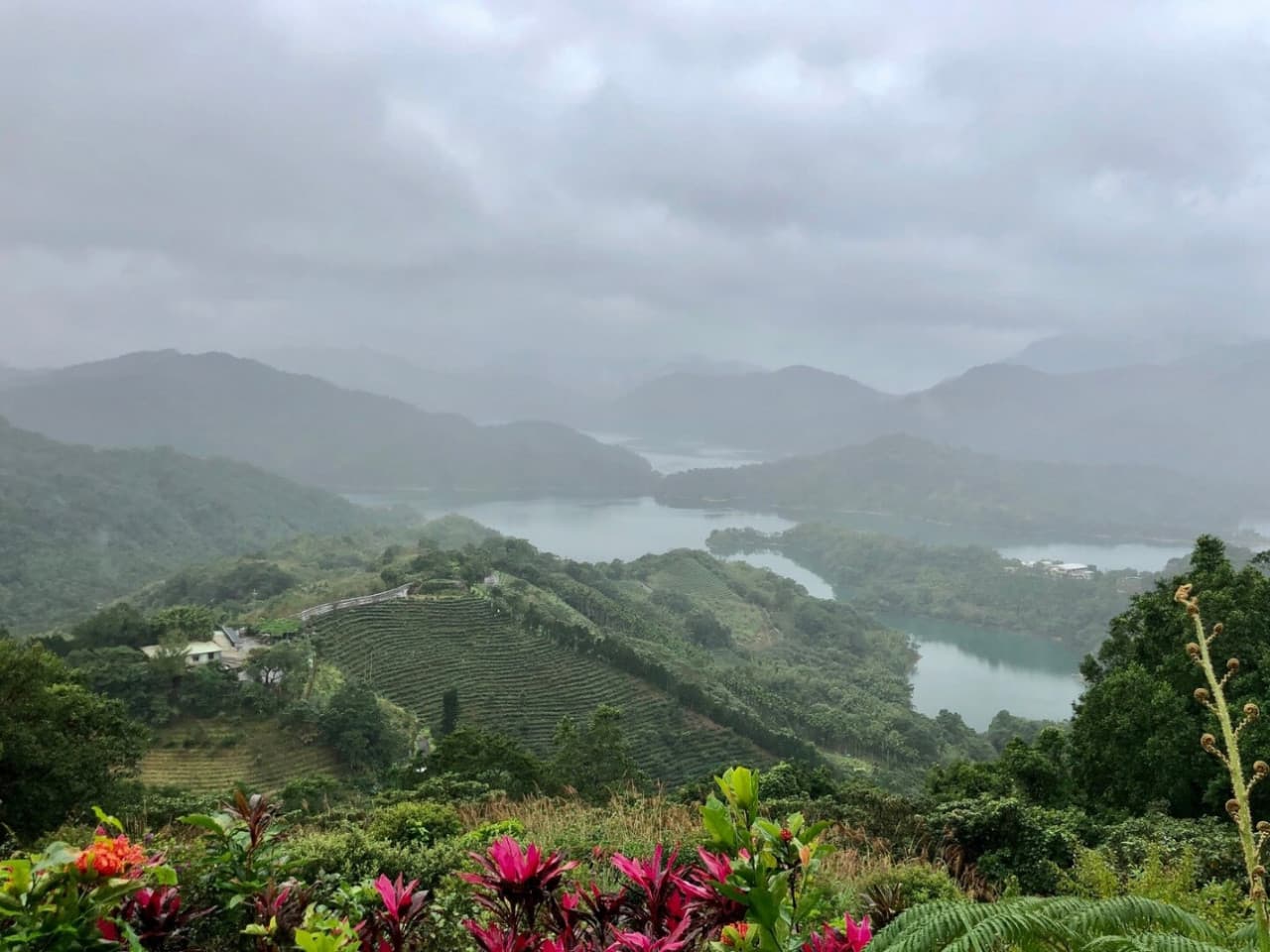 Pinglin Tea Culture and Maokong Full-Day Tour from Taipei - სურათი 5