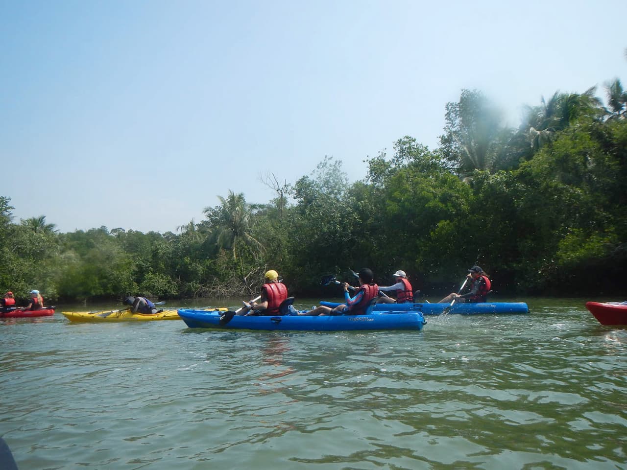Pulau Ubin Kayaking - სურათი 27