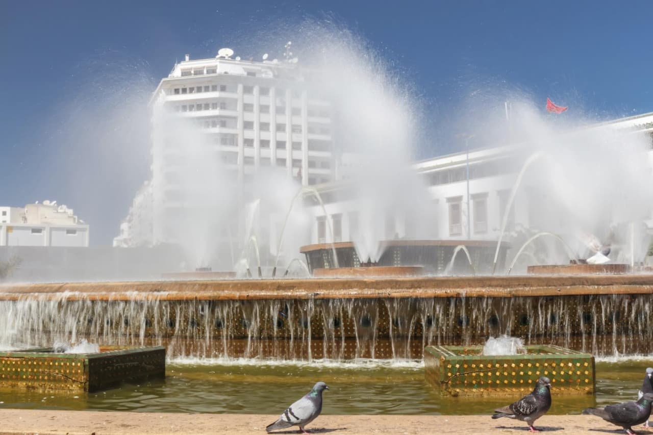 Casablanca Half-Day Tour: United Nations Square, Central Market, Royal Palace, Habbous Quarter - სურათი 5