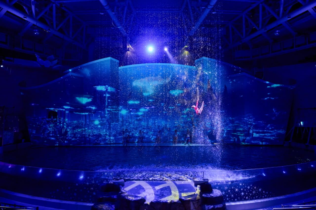 Aqua Planet Jeju Aquarium Ticket - სურათი 5
