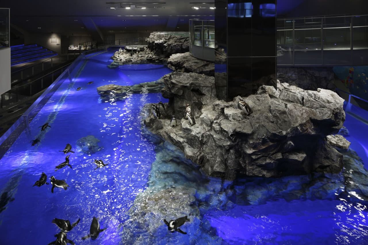 Sumida Aquarium Ticket - სურათი 10