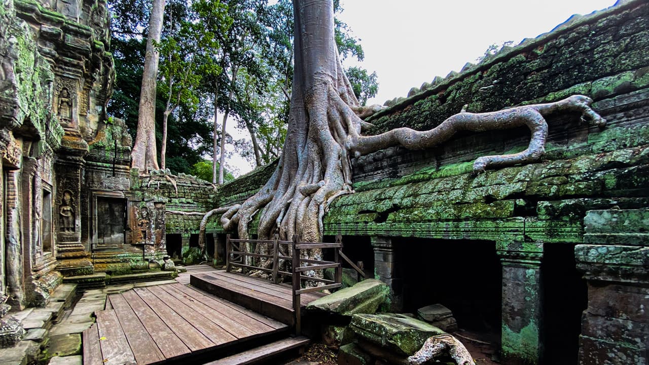 Angkor Temples Tour - სურათი 2