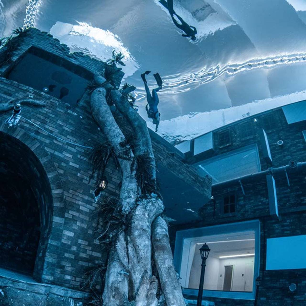 Scuba Diving and Snorkelling at Deep Dive Dubai - სურათი 4
