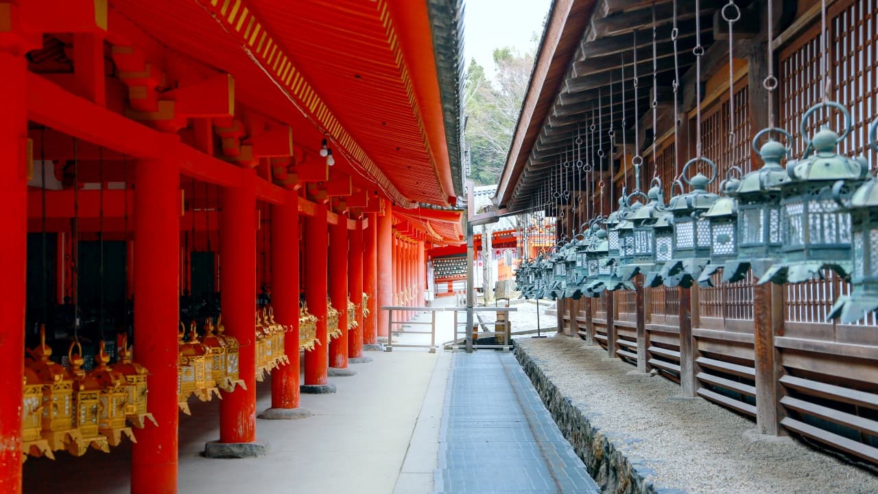 Kyoto and Nara Full-Day Tour from Osaka: Kiyomizudera Area, Fushimi Inari Taisha, Nara Park - სურათი 5
