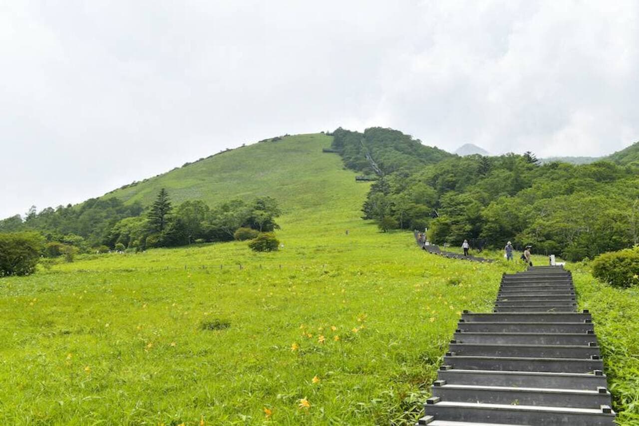 Nikko Pass All Area - სურათი 7