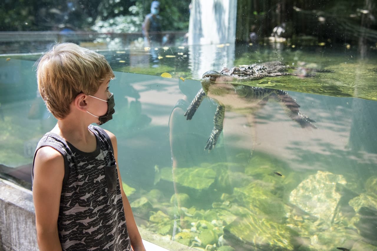 Bronx Zoo - სურათი 2