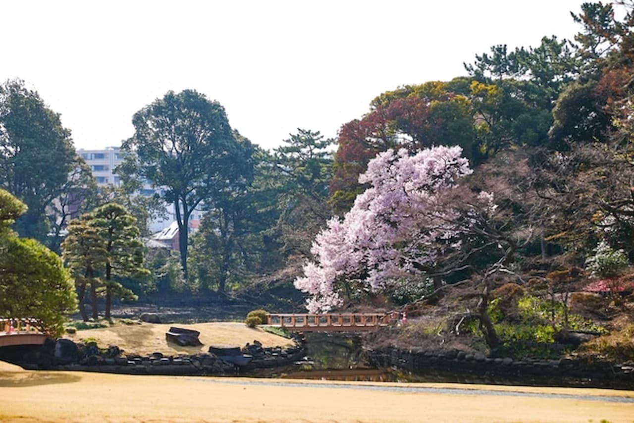 Shinjuku Gyoen National Garden Ticket - სურათი 4