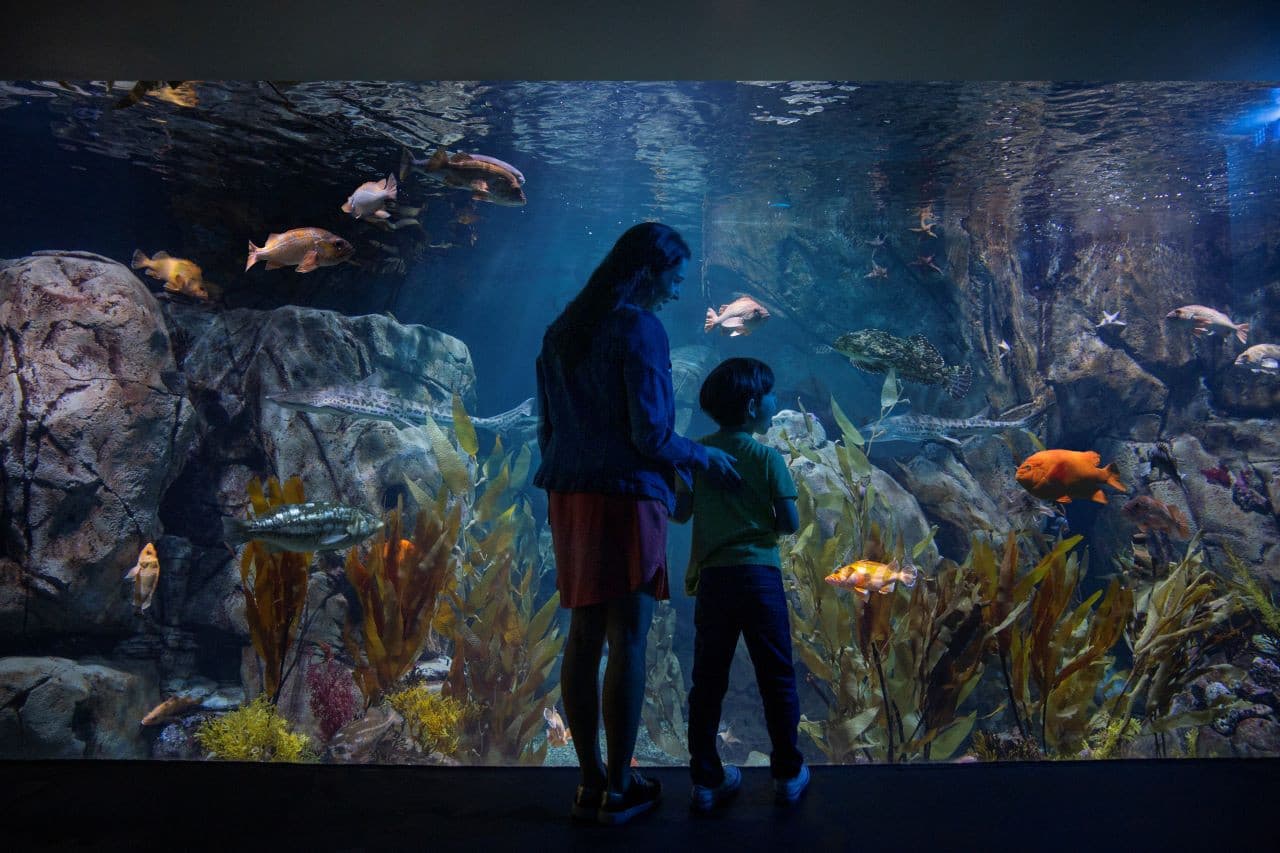 Go City Los Angeles All-Inclusive Pass: Save up to 50% on Attractions - სურათი 6