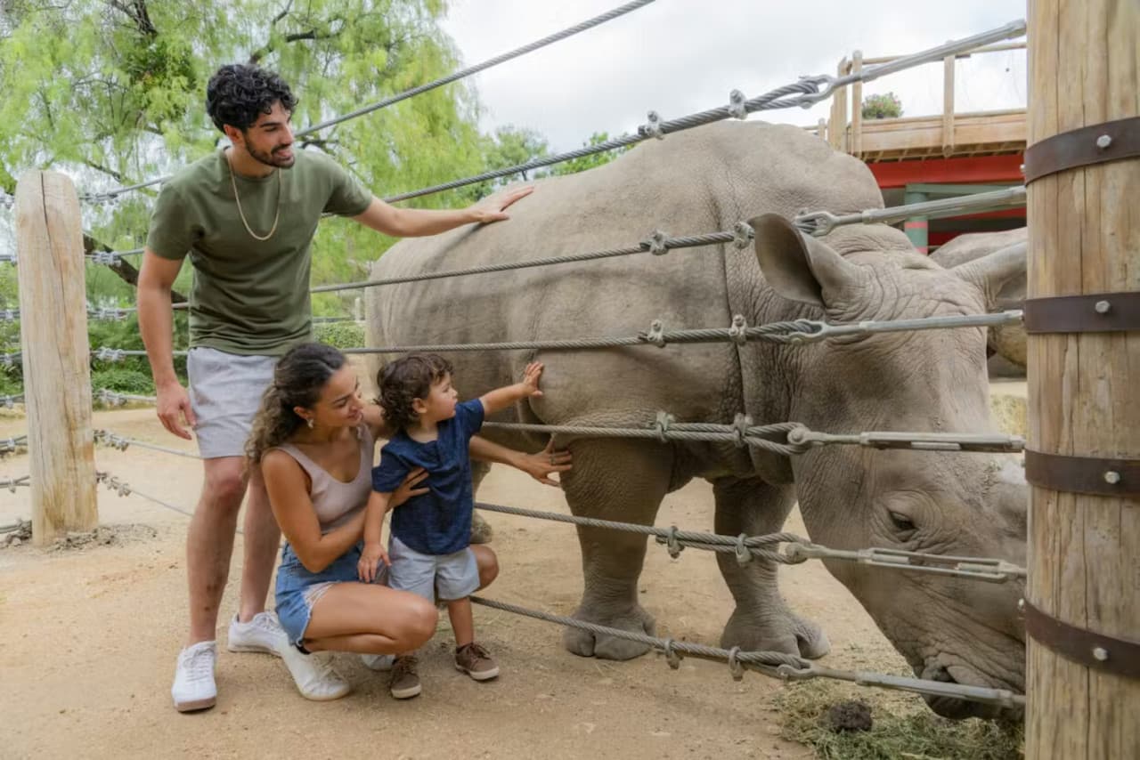 San Antonio Zoo Ticket - სურათი 12