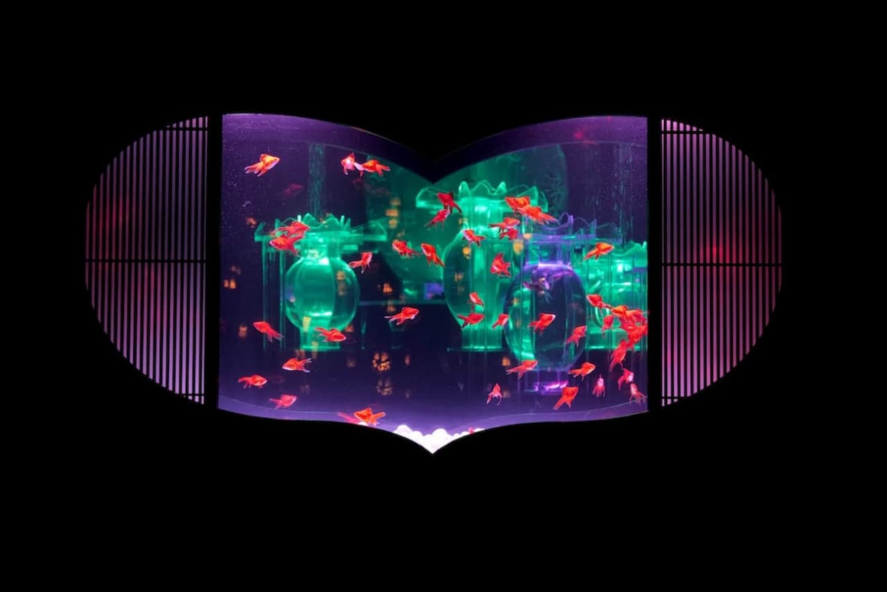 Art Aquarium Museum GINZA Ticket - სურათი 11