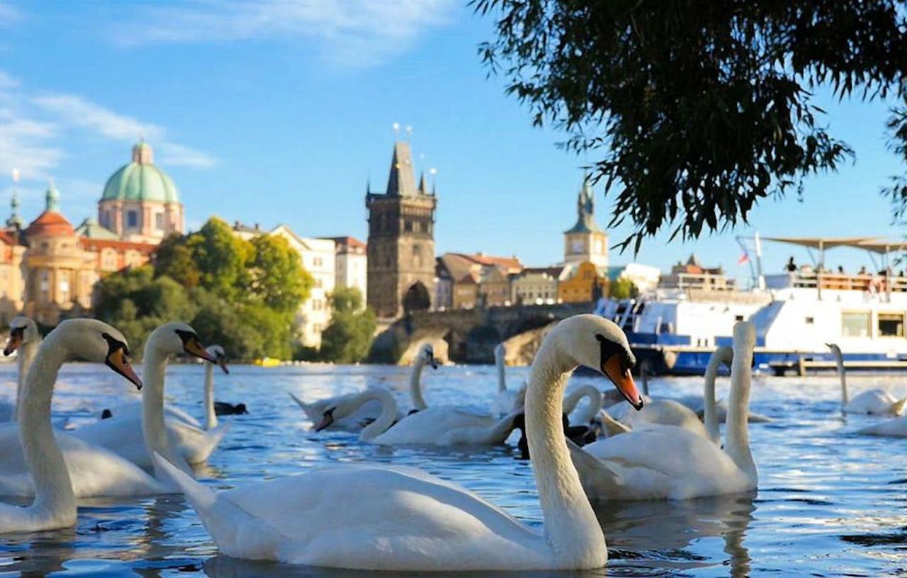 Prague River Cruise - სურათი 2