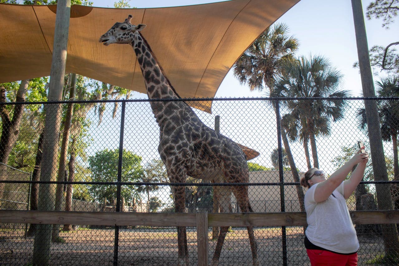 Central Florida Zoo & Botanical Gardens Ticket - სურათი 16