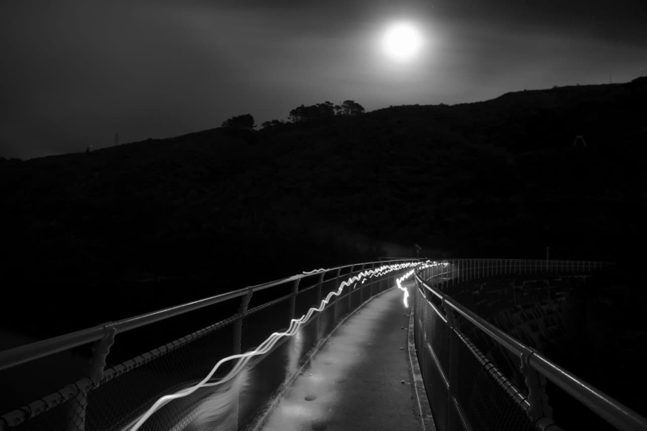 Zealandia Night Tour - სურათი 5