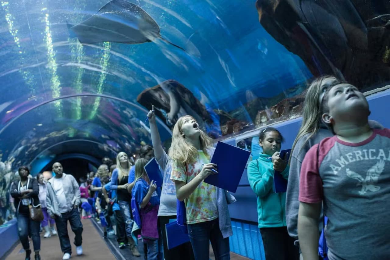 Georgia Aquarium: Fast Track Ticket - სურათი 3