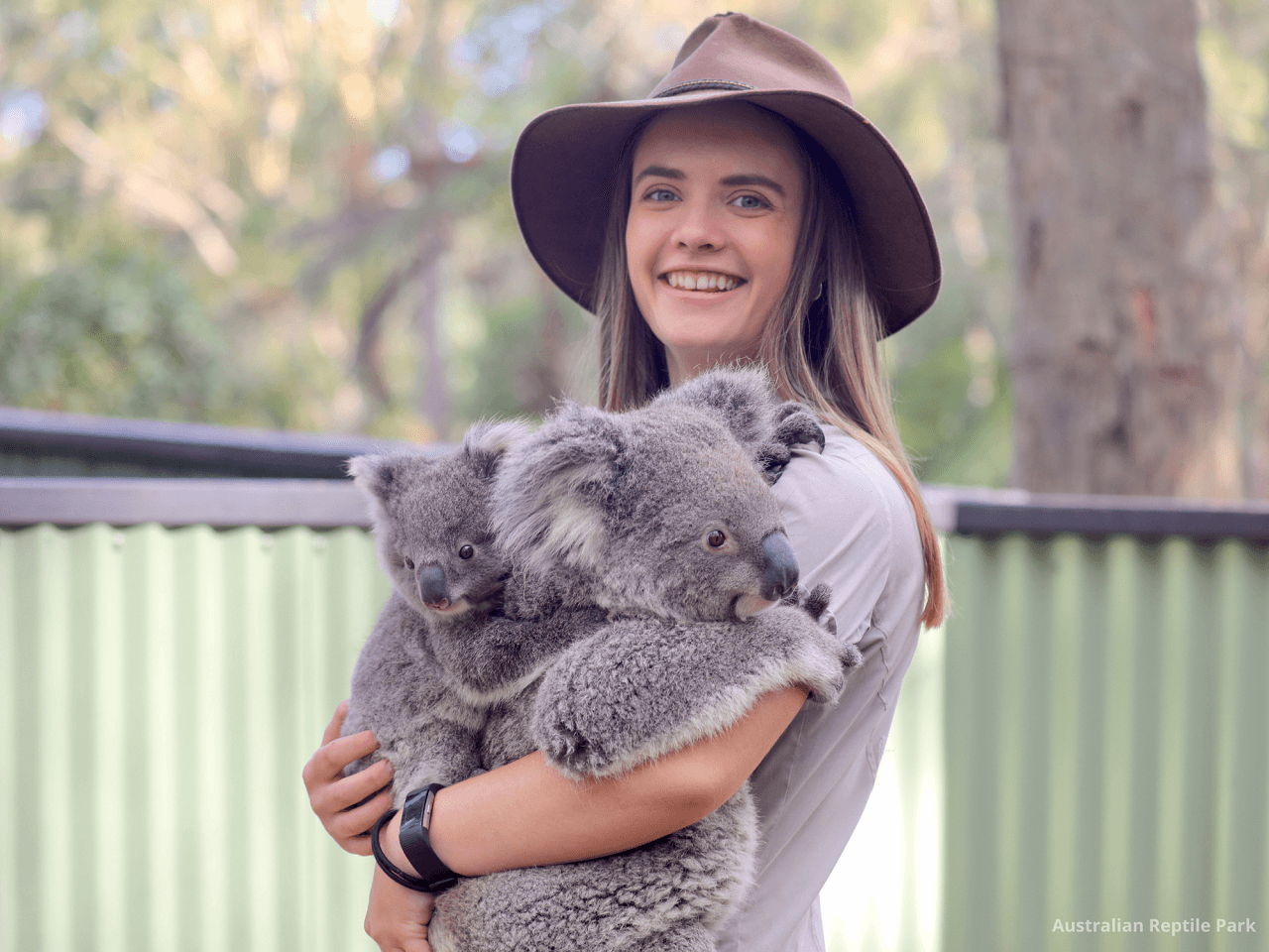 Australian Reptile Park - სურათი 17