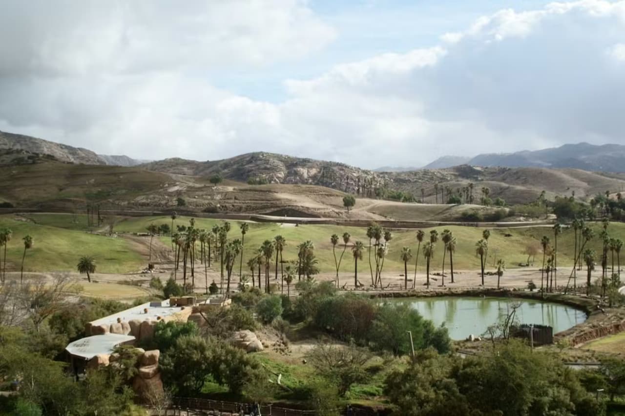 2-Visit Pass: San Diego Zoo + San Diego Zoo Safari Park Tickets - სურათი 15