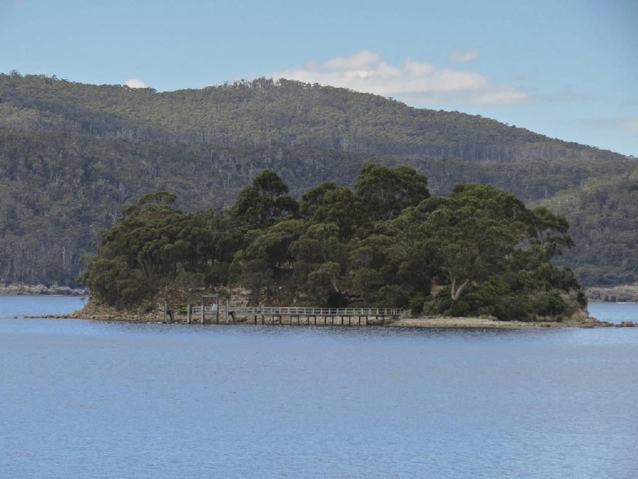 Full Day Port Arthur Tour - სურათი 6