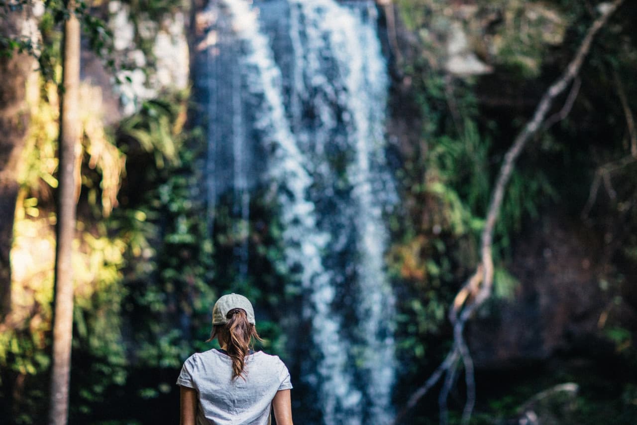 Tamborine Mountain Guided Walk and Wine Tasting Tour - სურათი 5