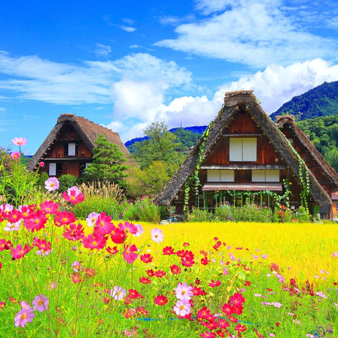 Takayama City and Shirakawa Gassho Village Full-Day Tour from Nagoya - სურათი 2