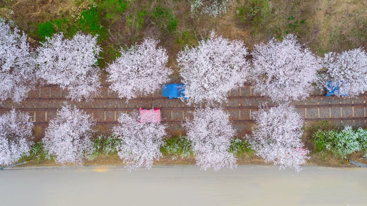 Nami Island, Mount Seorak, and Gapyeong Rail Bike Full-Day Tour from Seoul - სურათი 16
