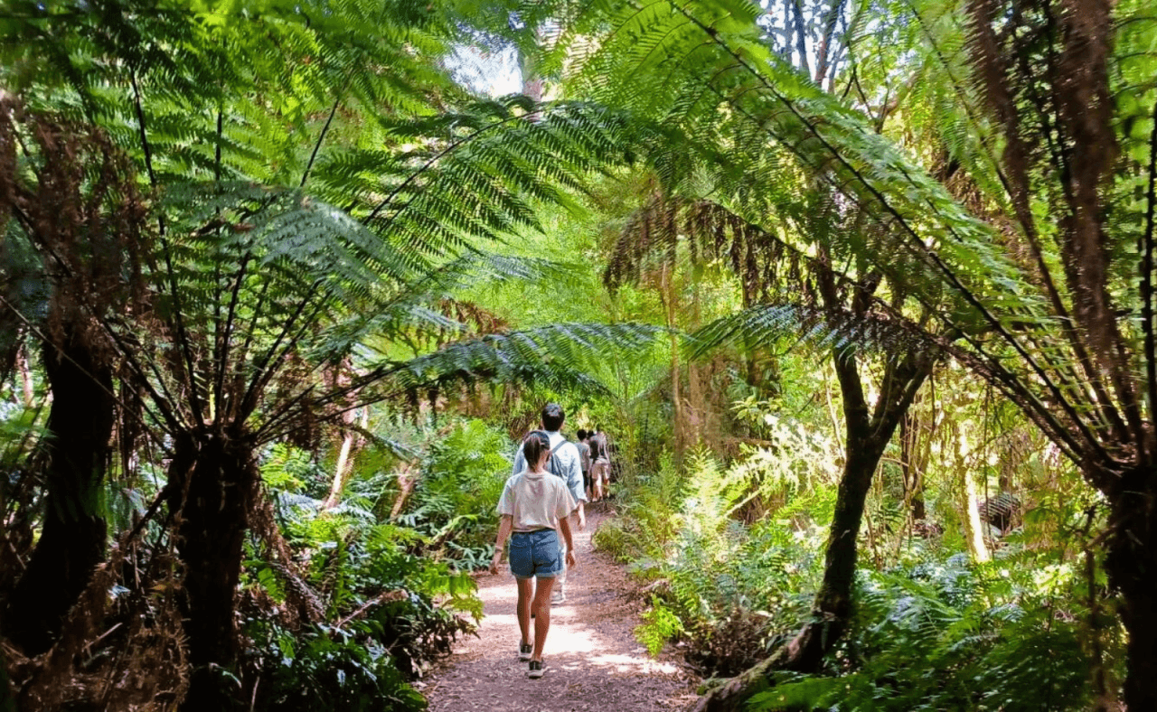 Great Ocean Road Tour from Melbourne - სურათი 26