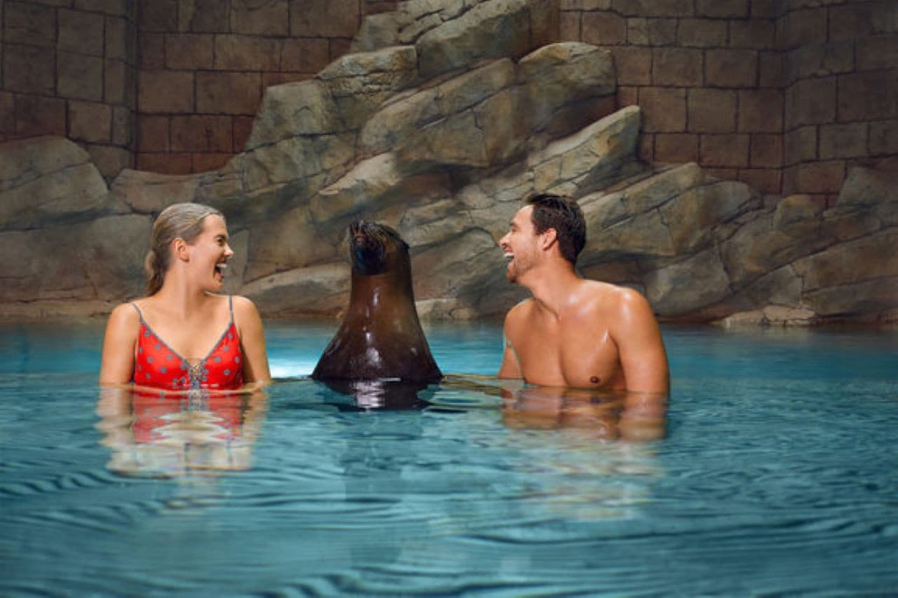 Atlantis Aquaventure World Dubai - Dolphin and Sea Lion Experiences at Atlas Village - სურათი 4
