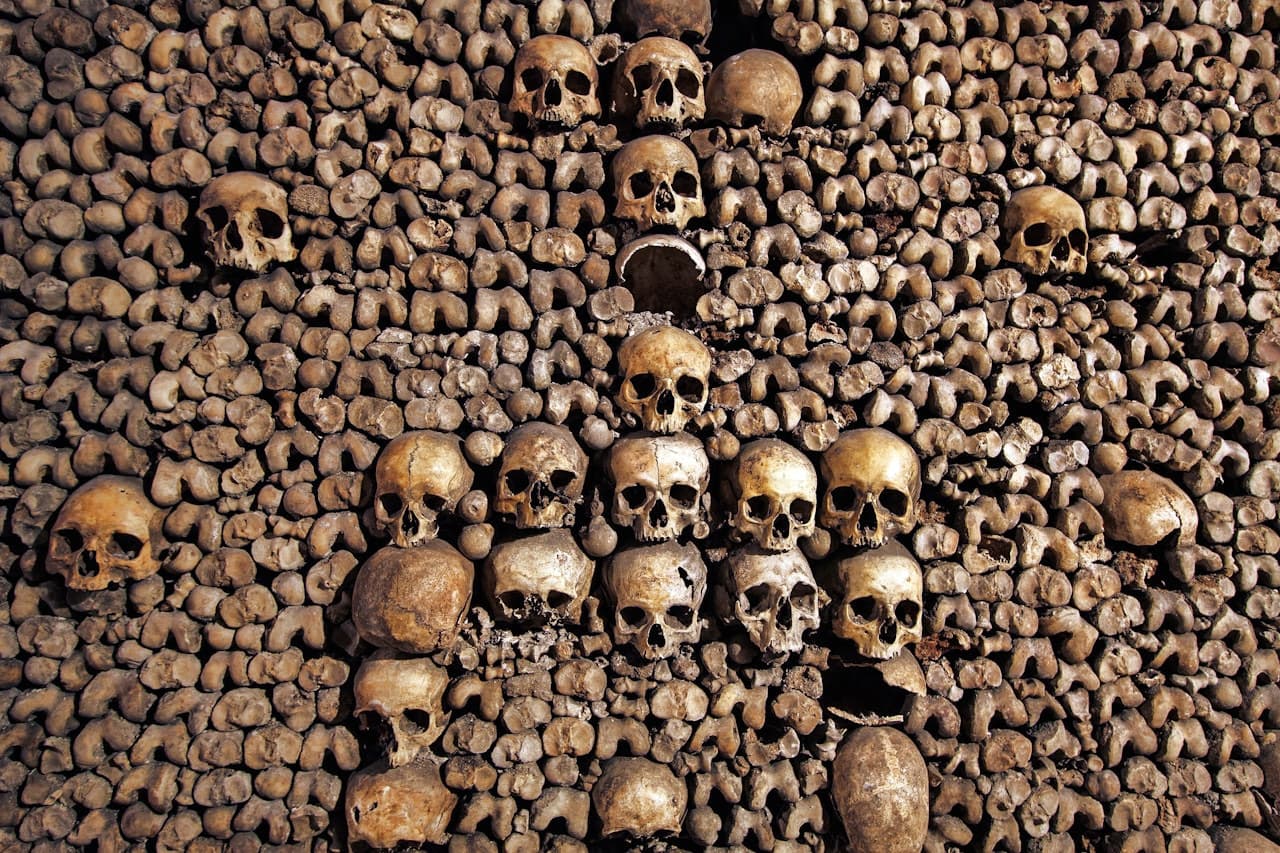 The Paris Catacombs - Skip-the-line with Audio Guide - სურათი 3