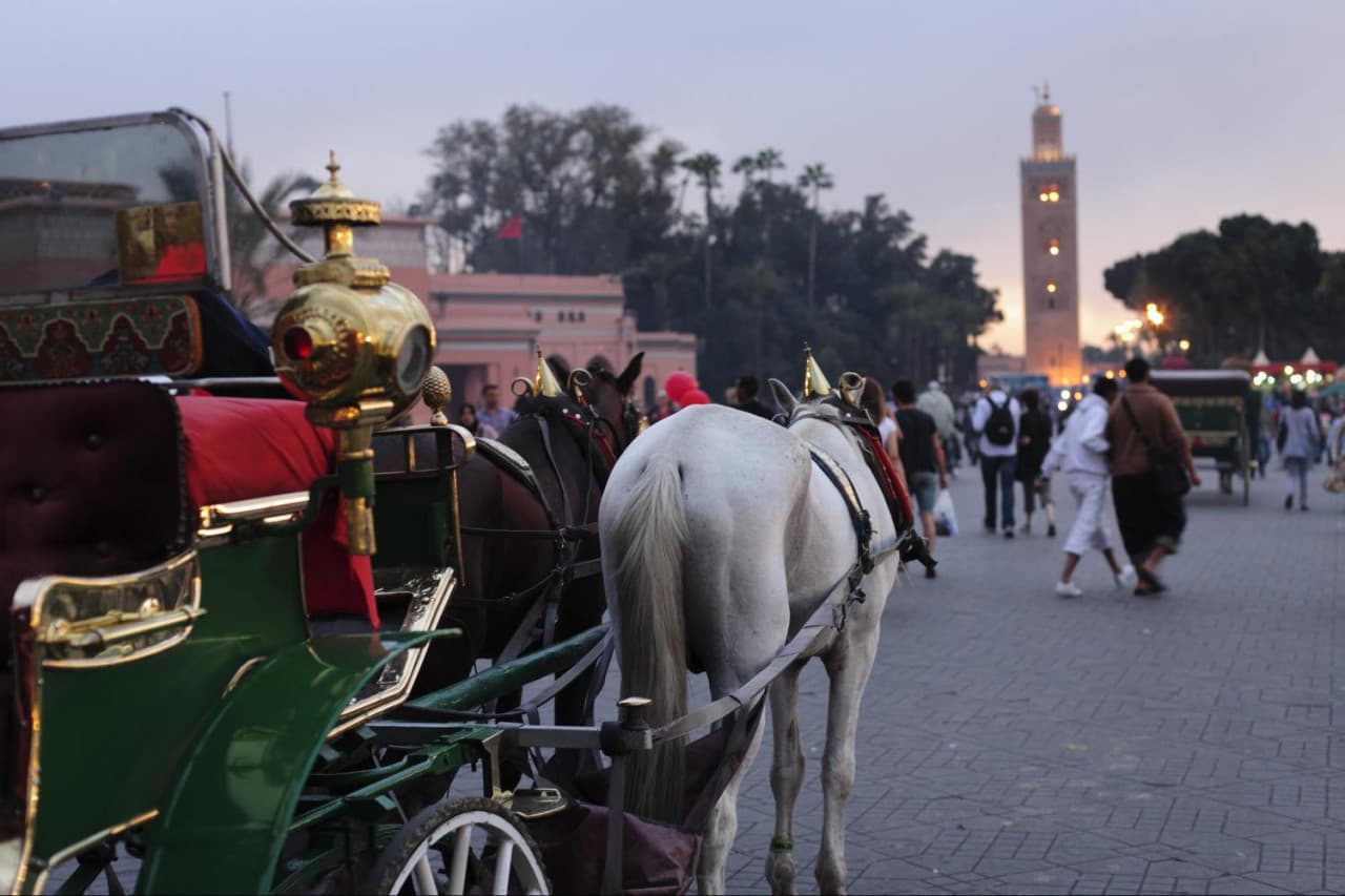 Marrakech Tour: Koutoubia Mosque, El Bahia Palace, Menara Gardens, Djemaa El Fna Square - სურათი 5