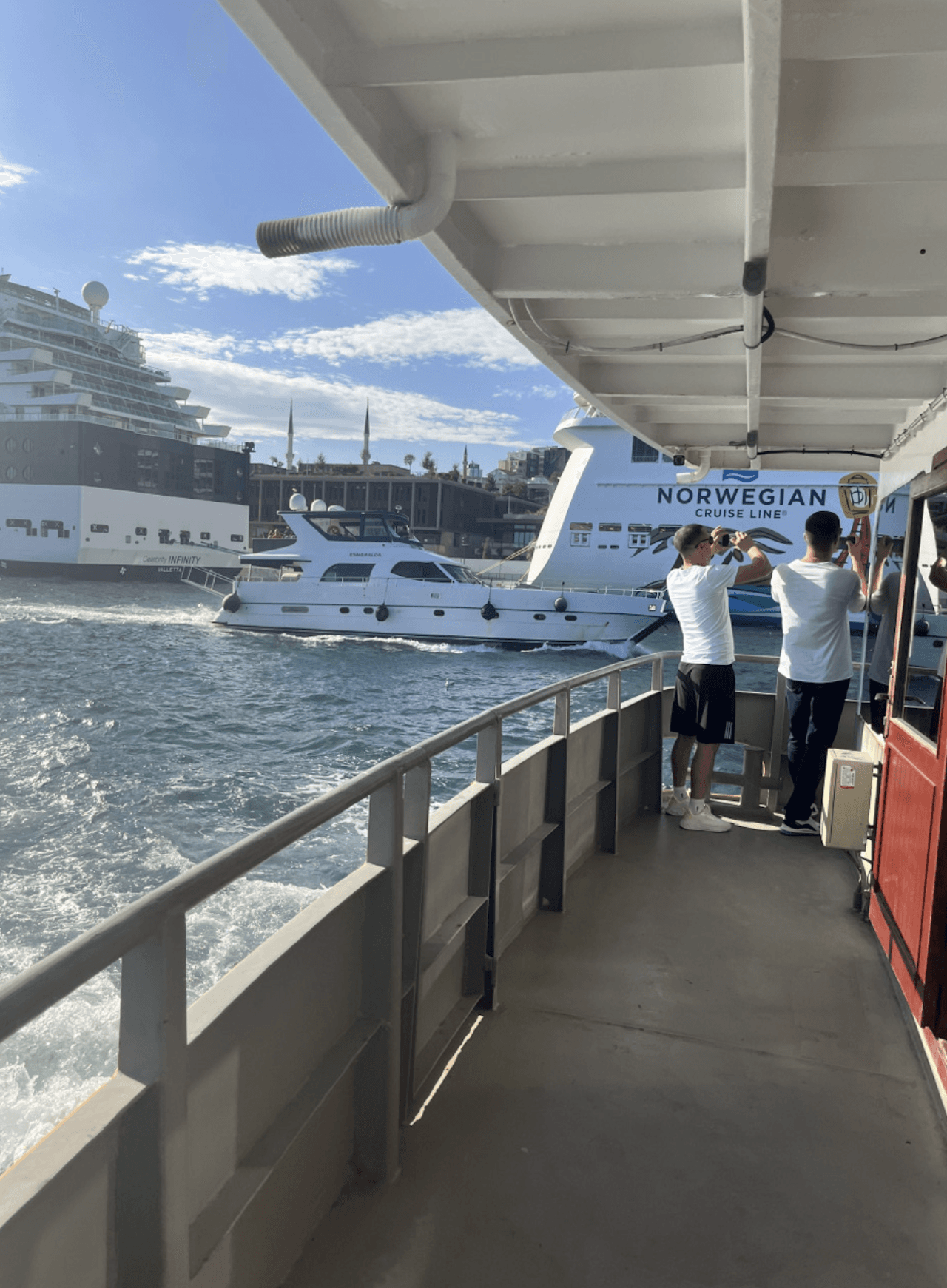 Golden Horn and Bosphorus Sightseeing Cruise with Audio Guide - სურათი 8