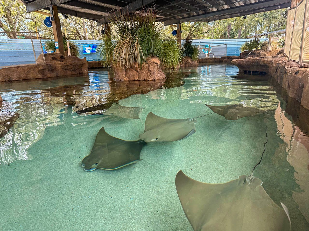 ZooTampa at Lowry Park Ticket - სურათი 9