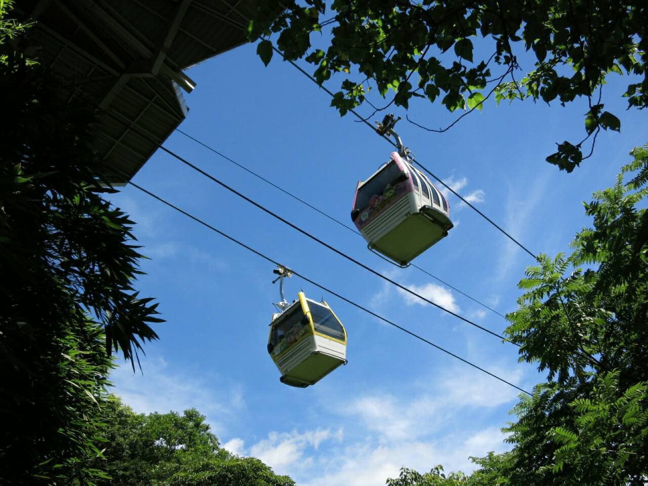 COMBO: Taipei Zoo + Maokong Gondola - სურათი 4