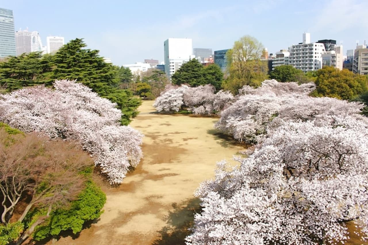 Shinjuku Gyoen National Garden Ticket - მთავარი სურათი