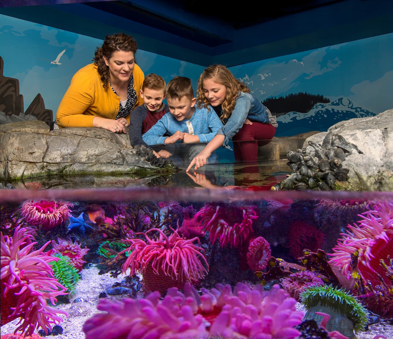 COMBO: Madame Tussauds Orlando + SEA LIFE Orlando Aquarium Ticket - სურათი 12