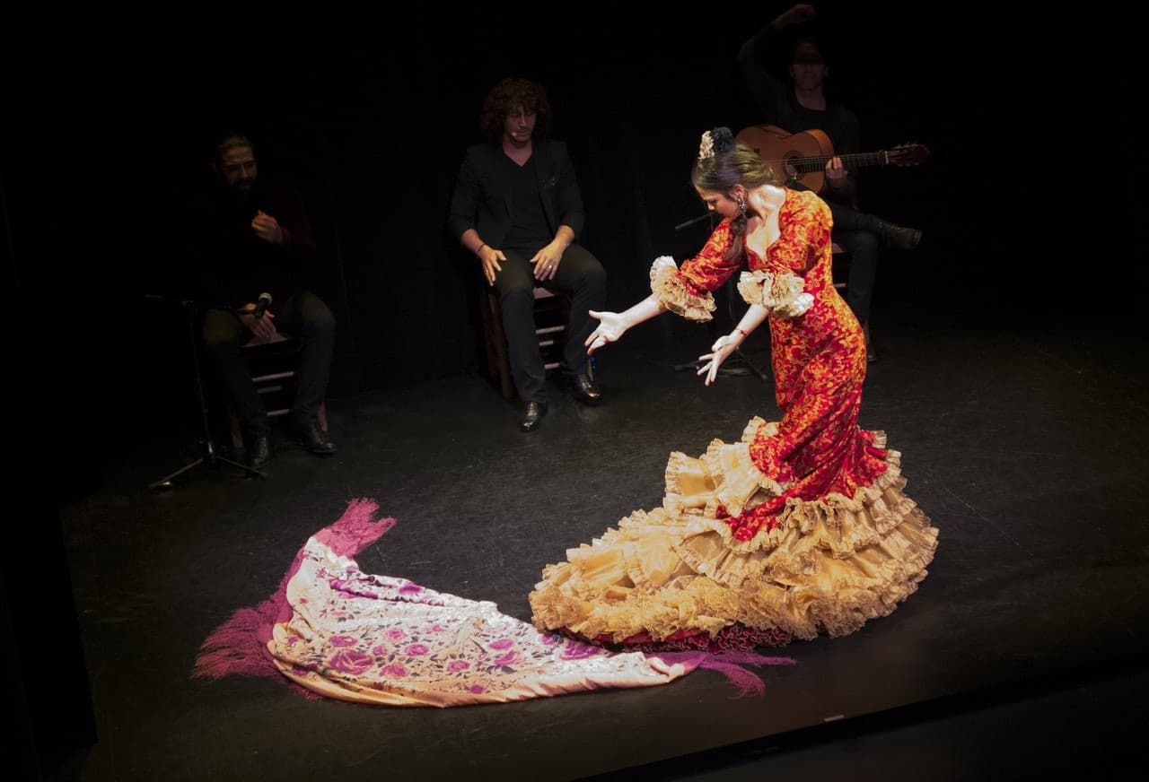 Flamenco Show at Triana Theater - სურათი 3