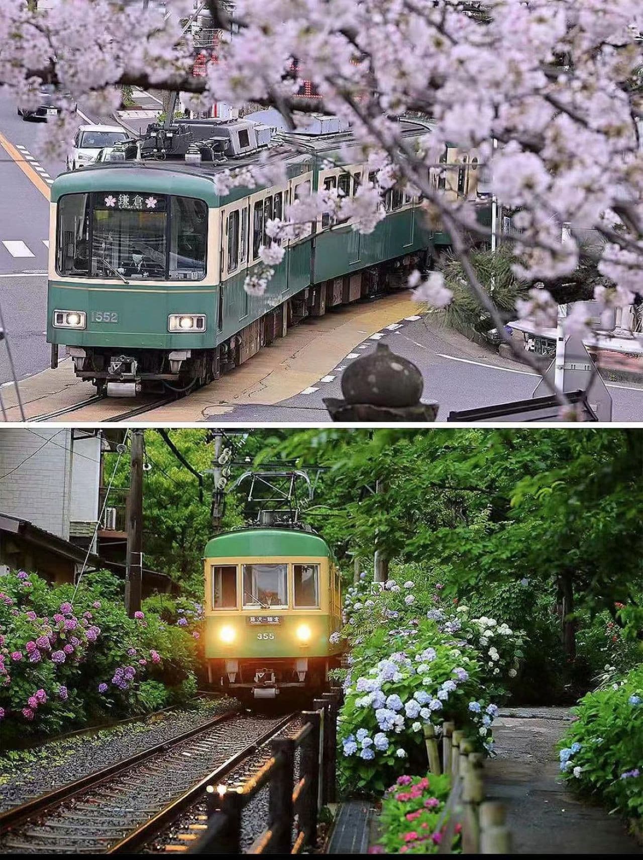Kotoku-in Temple and Enoshima Day Tour from Tokyo - სურათი 6