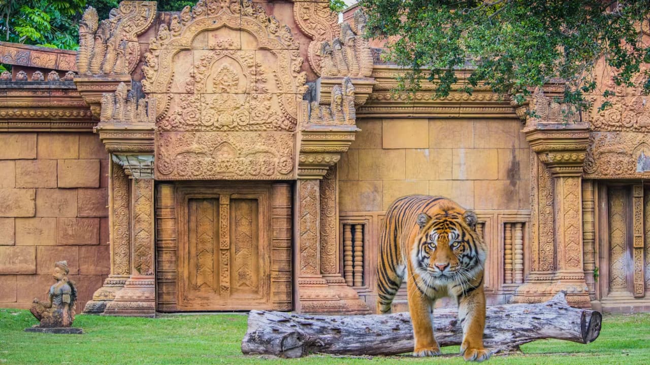 Zoo Miami Ticket - სურათი 3