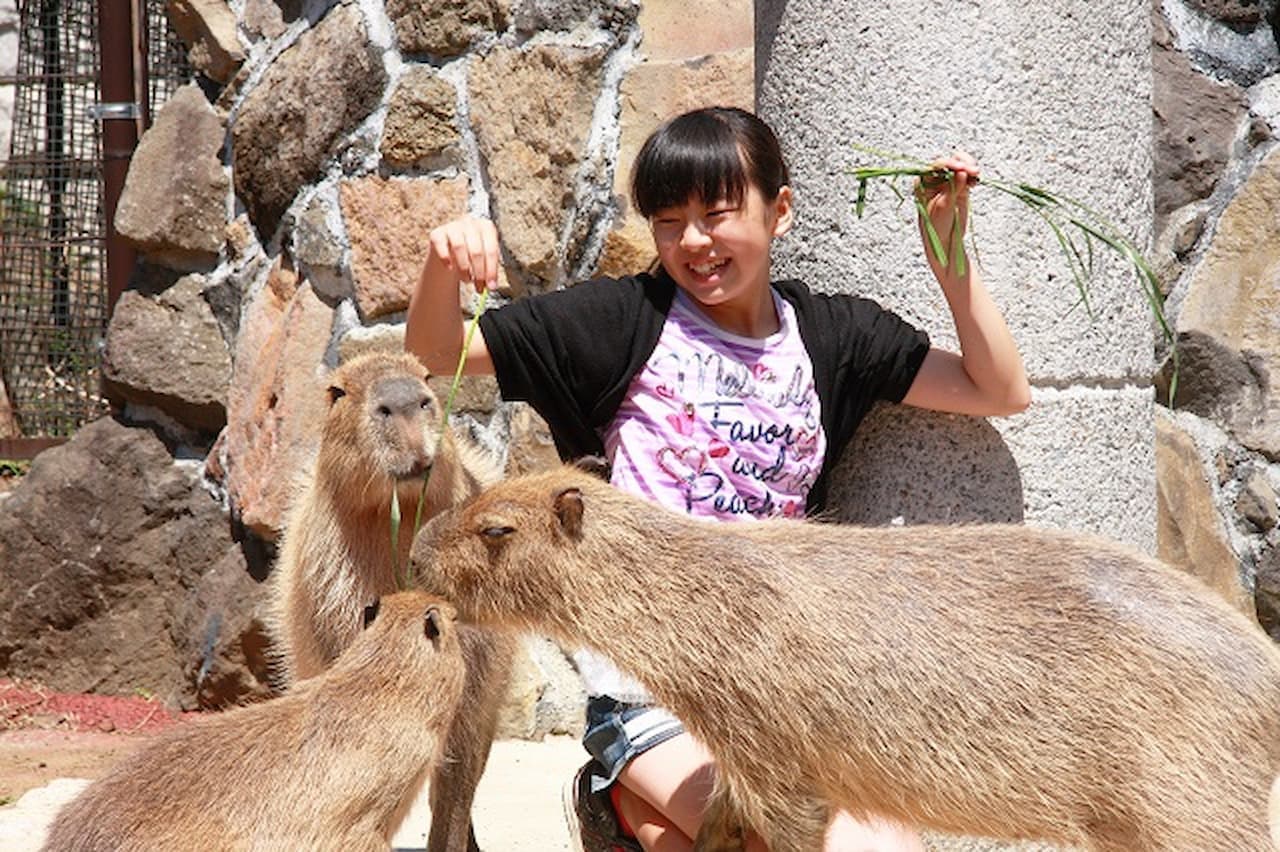 Izu Shaboten Zoo Ticket - სურათი 2
