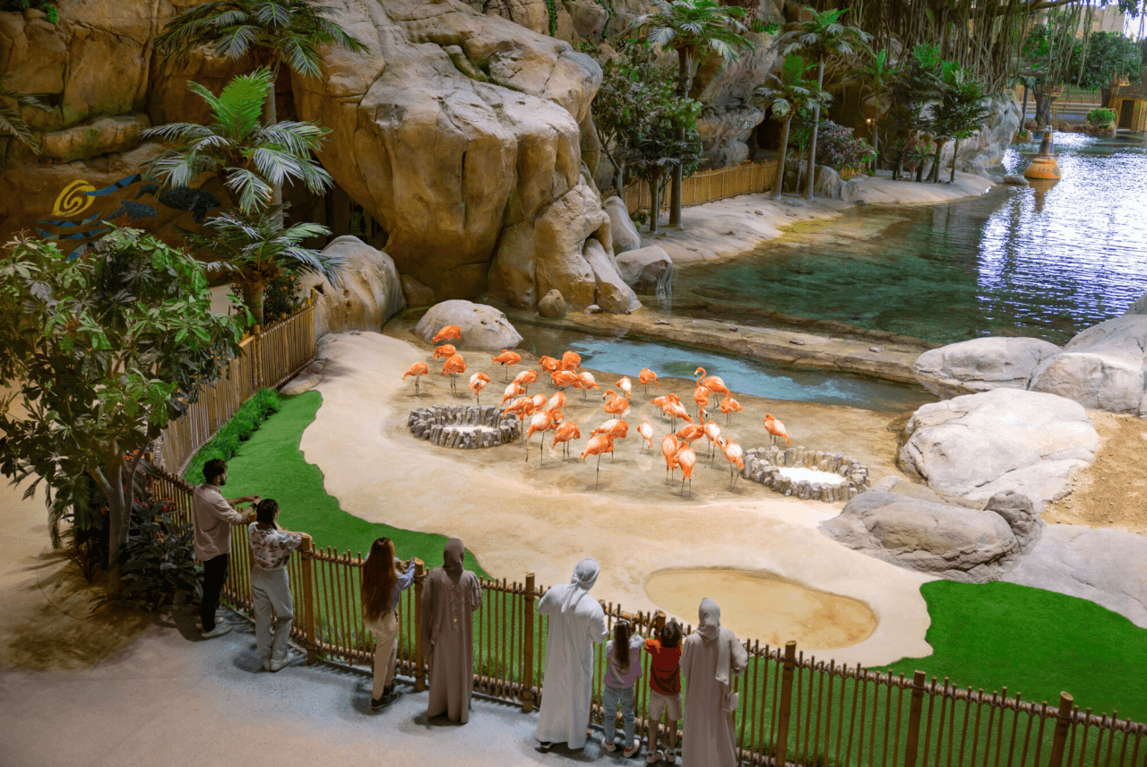 SeaWorld Abu Dhabi Ticket - სურათი 6